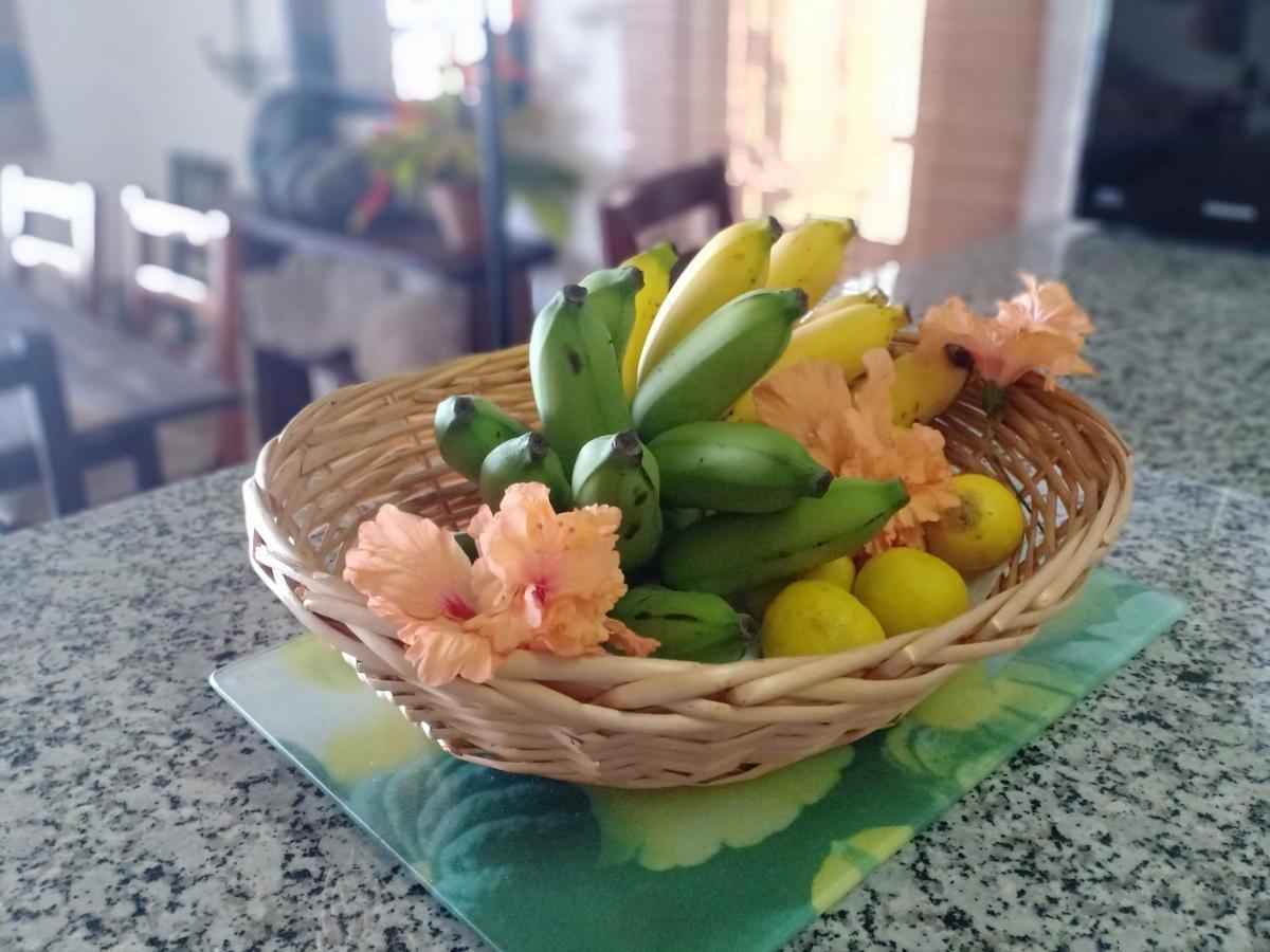 VI Miles Lodge Machabee Ngoại thất bức ảnh